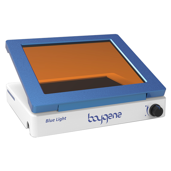 Blue Light Transilluminator( BG-Vtrans520s）